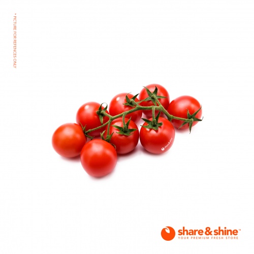 holland_cherry_tomato_