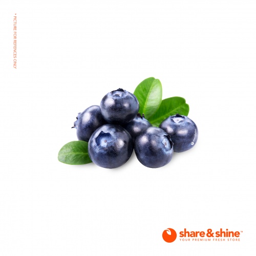 sa_blueberry_