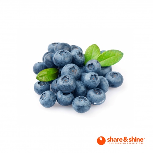 sa_jumbo_blueberry_-_copy